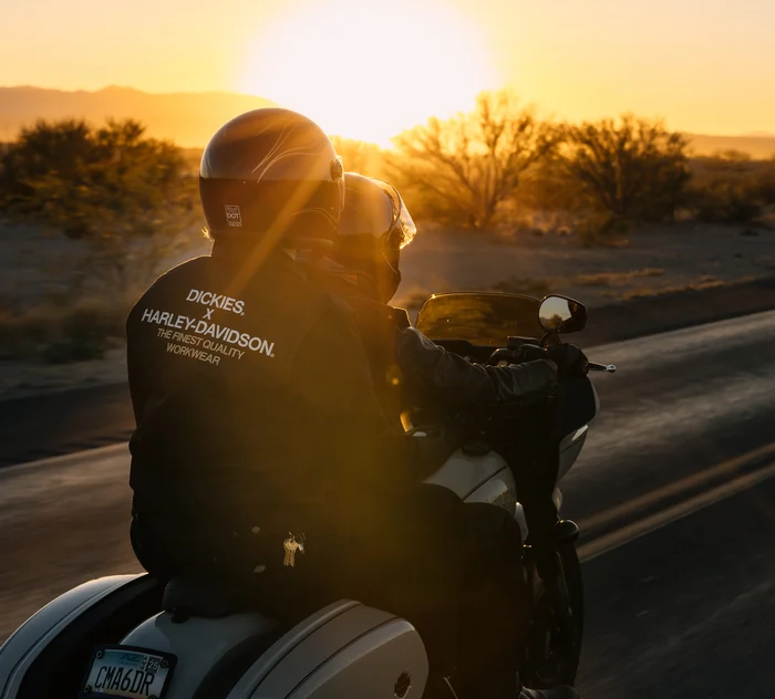 Dickies x H-D® Quilted Lined Eisenhower Jacket