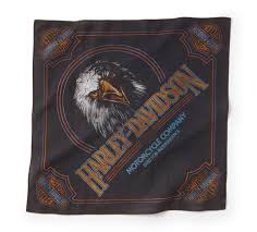 Soaring Ride Graphic Bandana