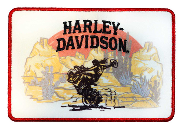 4" Desert Rodeo Patch