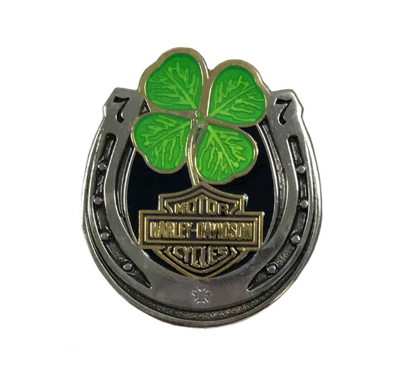 LUCKY HORSESHOE PIN