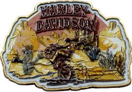 DESERT RODEO PIN