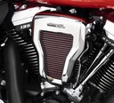 Screamin' Eagle Vortex Extreme Air Cleaner