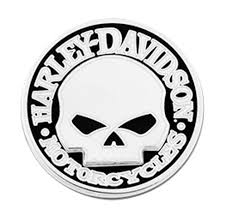 PIN 2 Pcs Skull