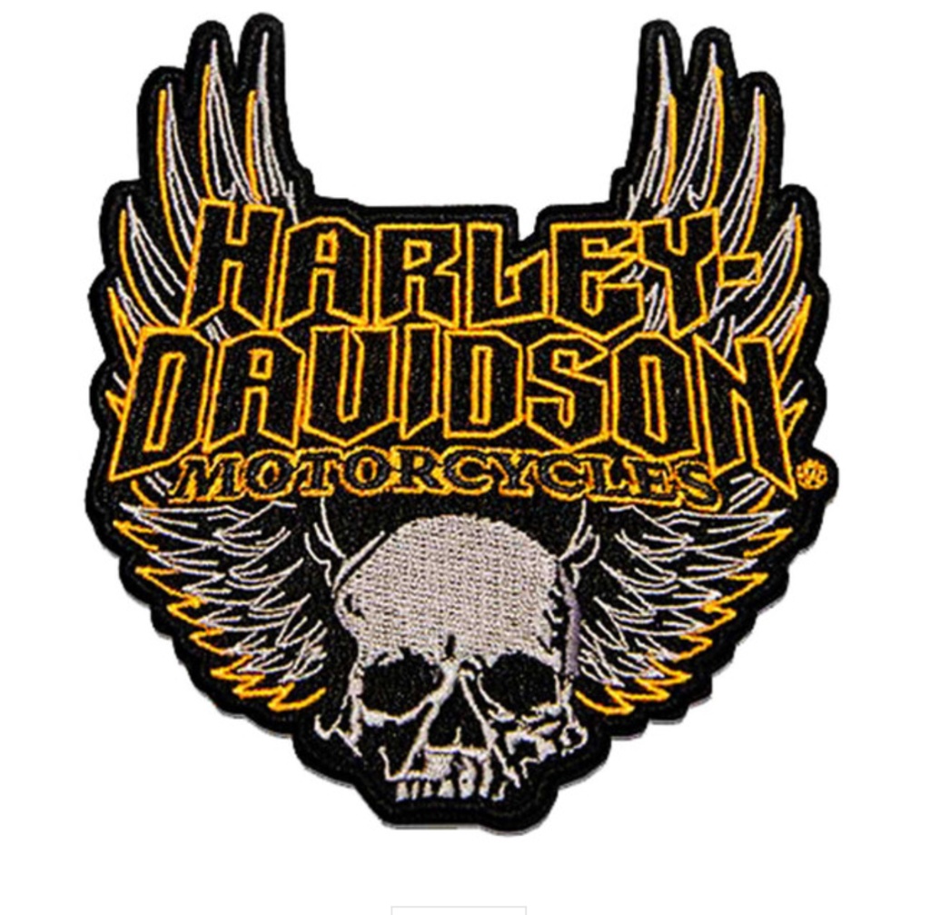 Skull With Wings Patch 4.5 in